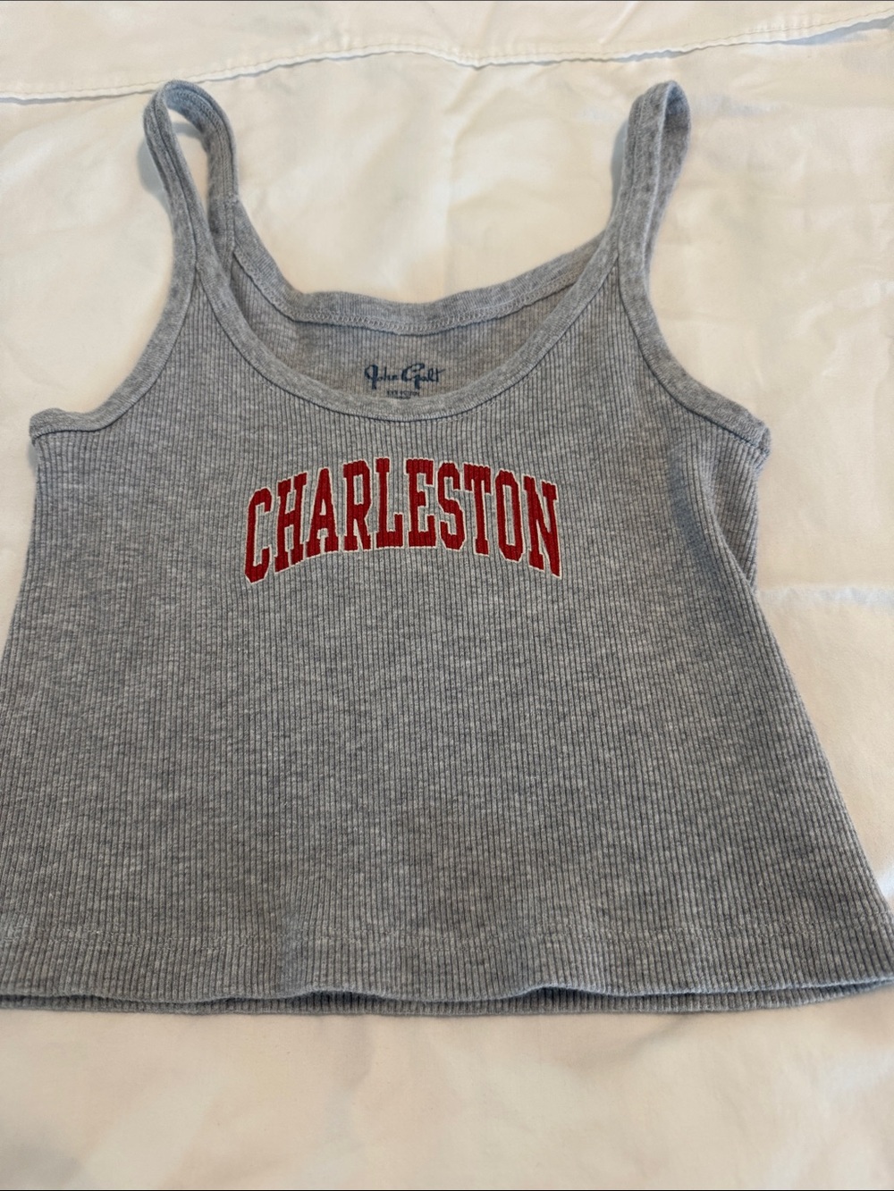 Brandy Melville Gray Ribbed Tank with Red Charleston Print